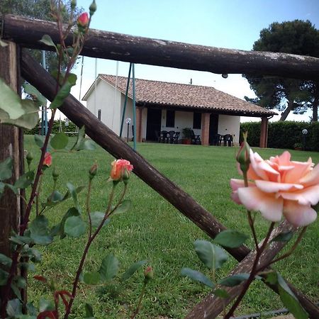 Agriturismo Belvedere Pescia Romana Zewnętrze zdjęcie