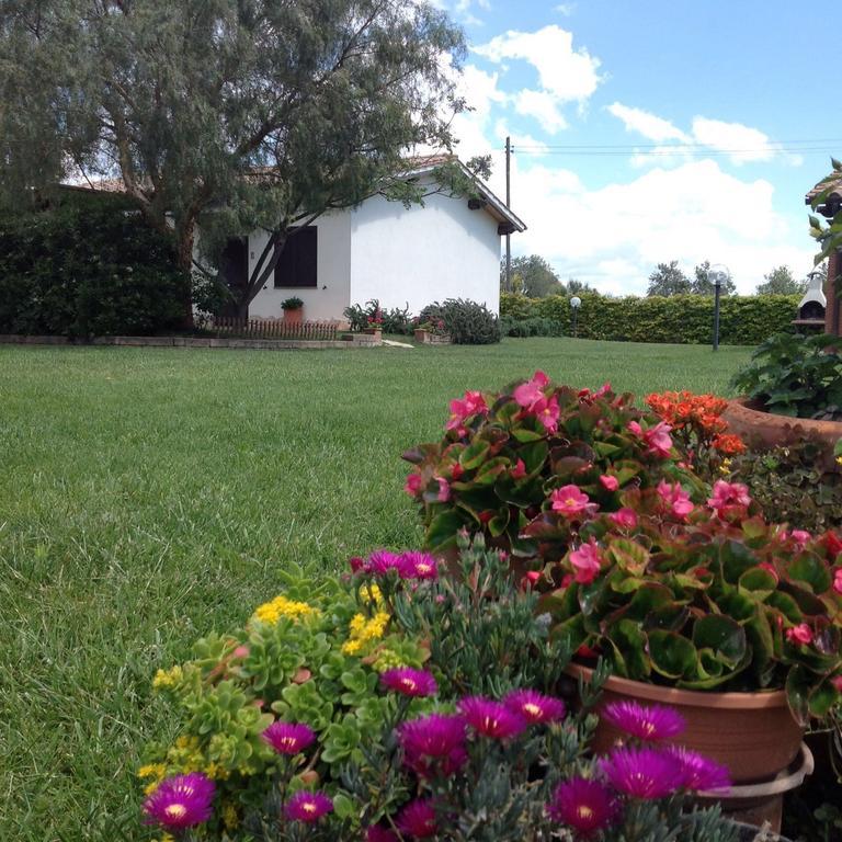 Agriturismo Belvedere Pescia Romana Zewnętrze zdjęcie